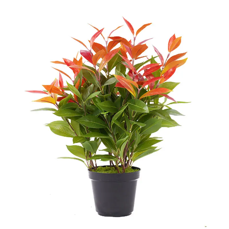 China High Quality H43cm Red and Green Bonsai Waterproof Durable Artificial Plant for Home or Hotel Decoration Manufacturer, Suppliers