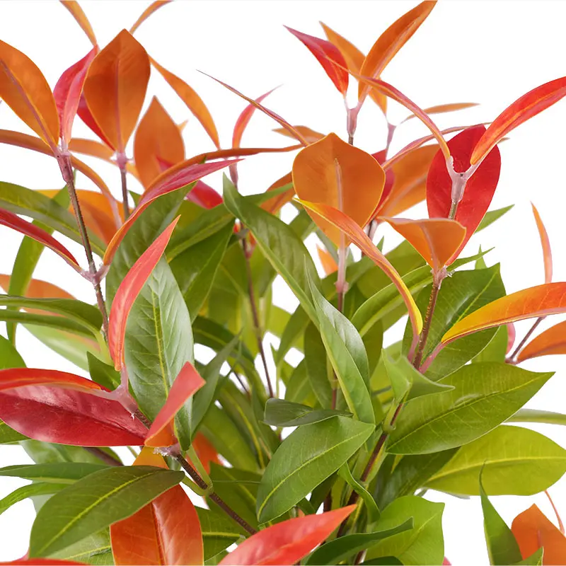 Bionic Photinia Leaf Pot Usage Scenarios