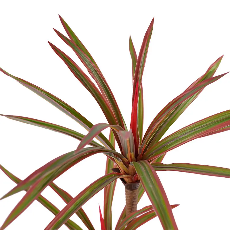 Wholesale Highly Recommended H60cm Artificial Dracaena marginata PEVA Realistic Texture for Garden Balcony Living Room Manufacturers, Factories