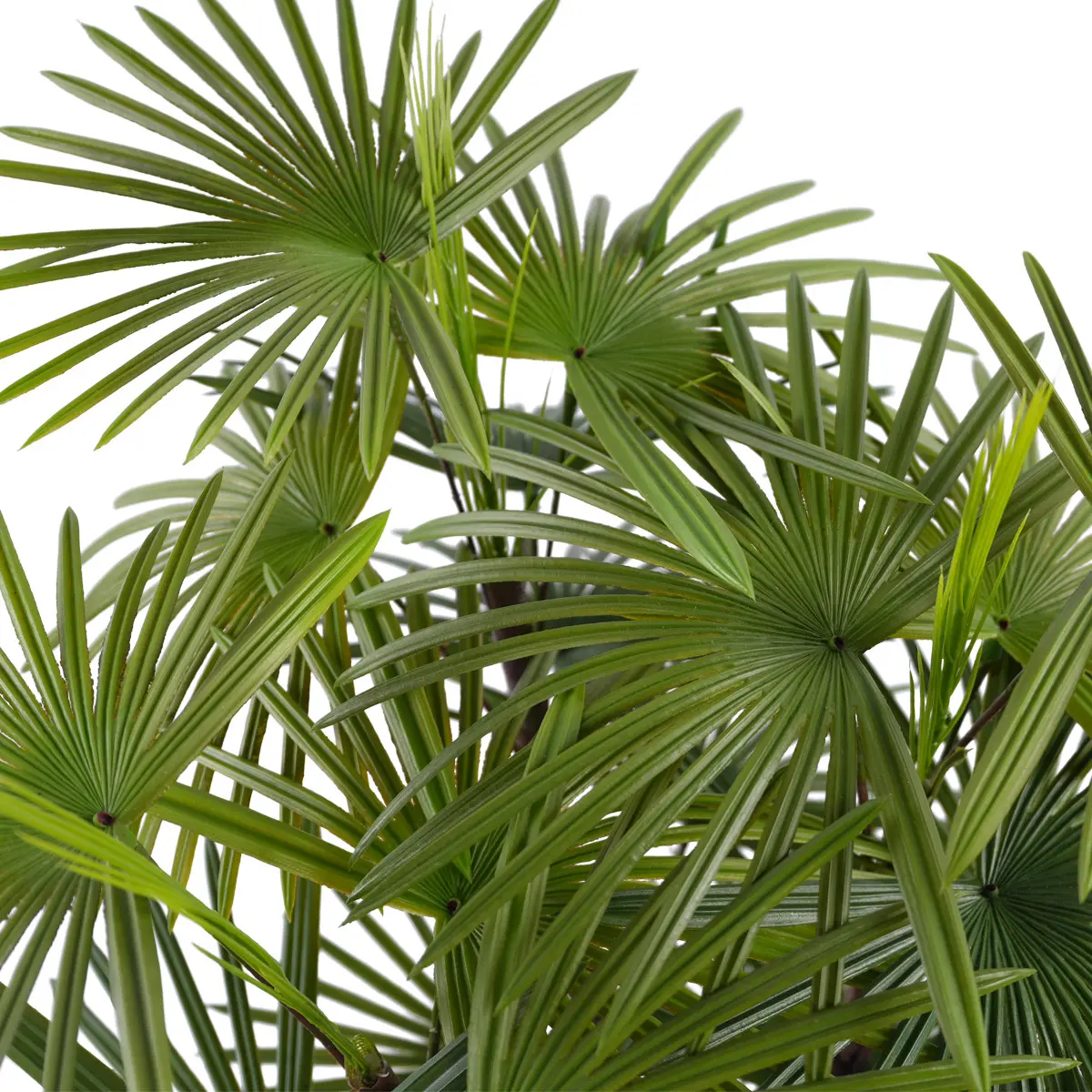 China Hot Selling Beautiful Bonsai Tree Indoor and Outdoor Artificial Kwai Plastic Plant for Home or Garden Manufacturers, Suppliers