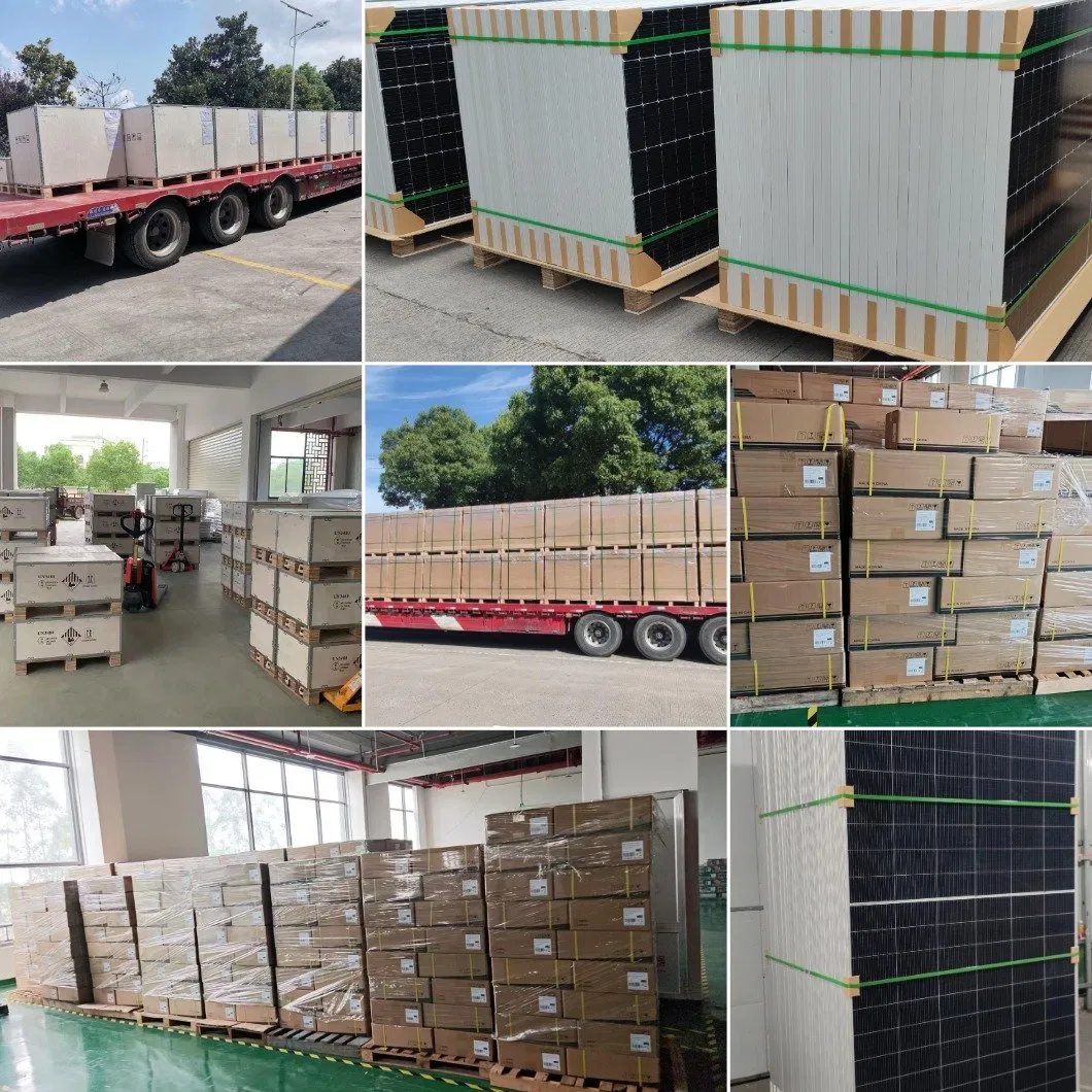 Packaging & Shipping