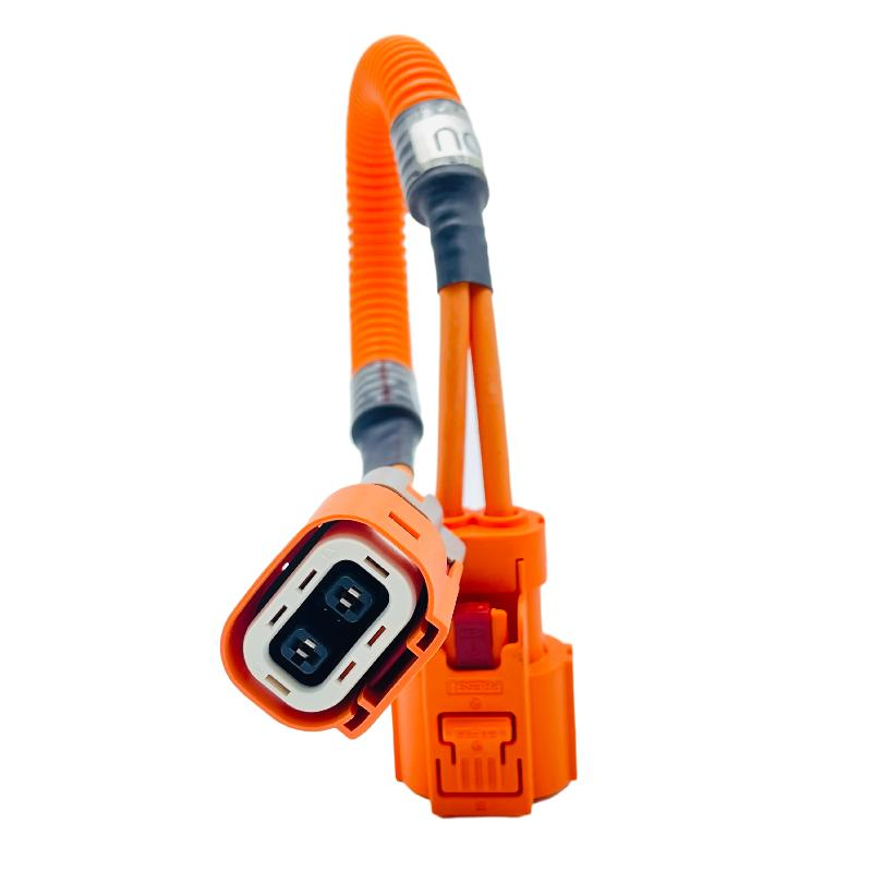 Custom 310S EV-PTC Power Solar Cable for High Voltage Electric Wire Photovoltaic Battery Charging New Energy Renewable Wiring Harness