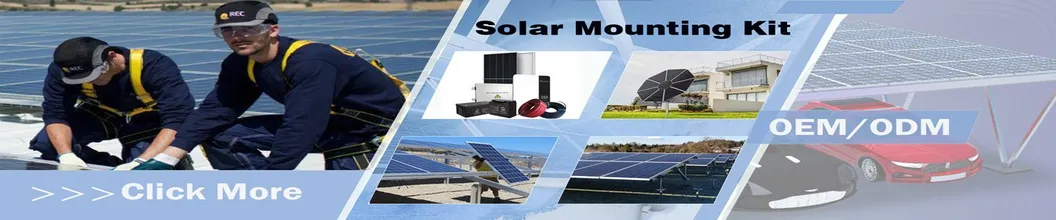 System Specifications