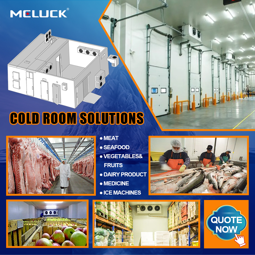 20ft Cold Room Container 220V Voltage Easy To Operate Compressor 150mm 120mm Panel Thickness Cold Storage Room