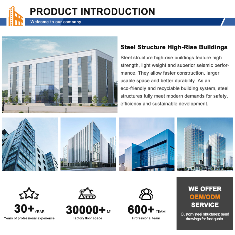 Modern Design Steel Structure Apartment Building Multi Storey Steel Structure Apartment Building Prefab Hotel Dormitory Building