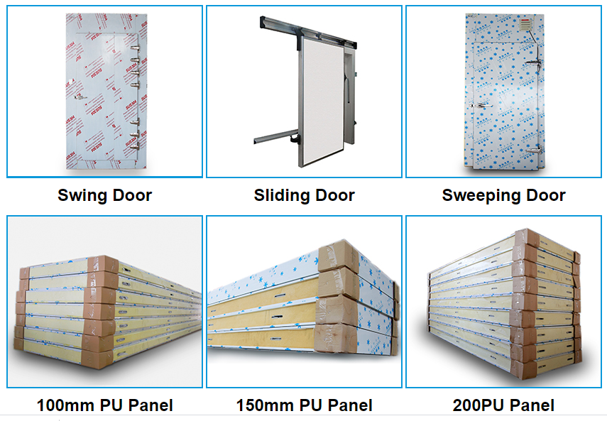 20ft Cold Room Container 220V Voltage Easy To Operate Compressor 150mm 120mm Panel Thickness Cold Storage Room
