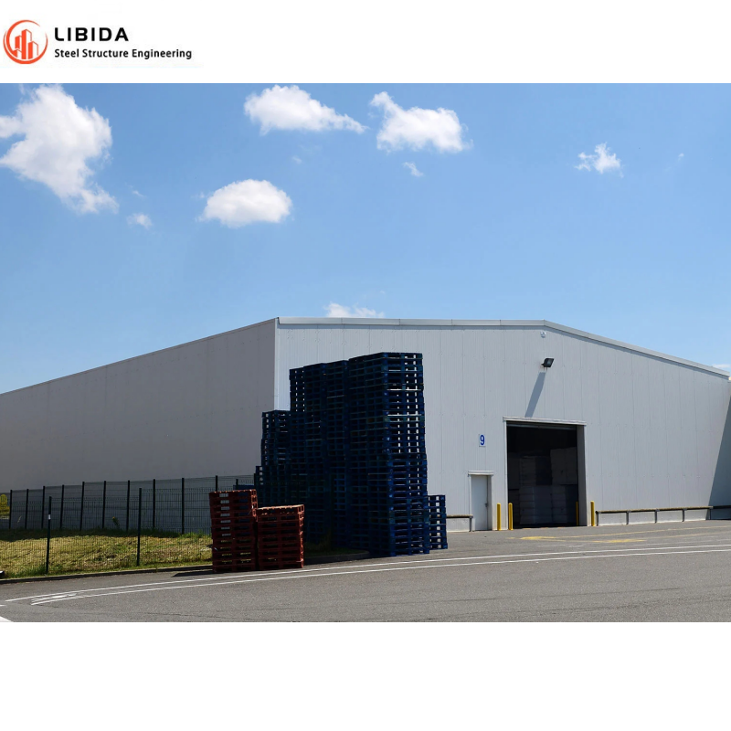Prefabricated Metal Hangar Warehouse Workshop Hall Building Made in China