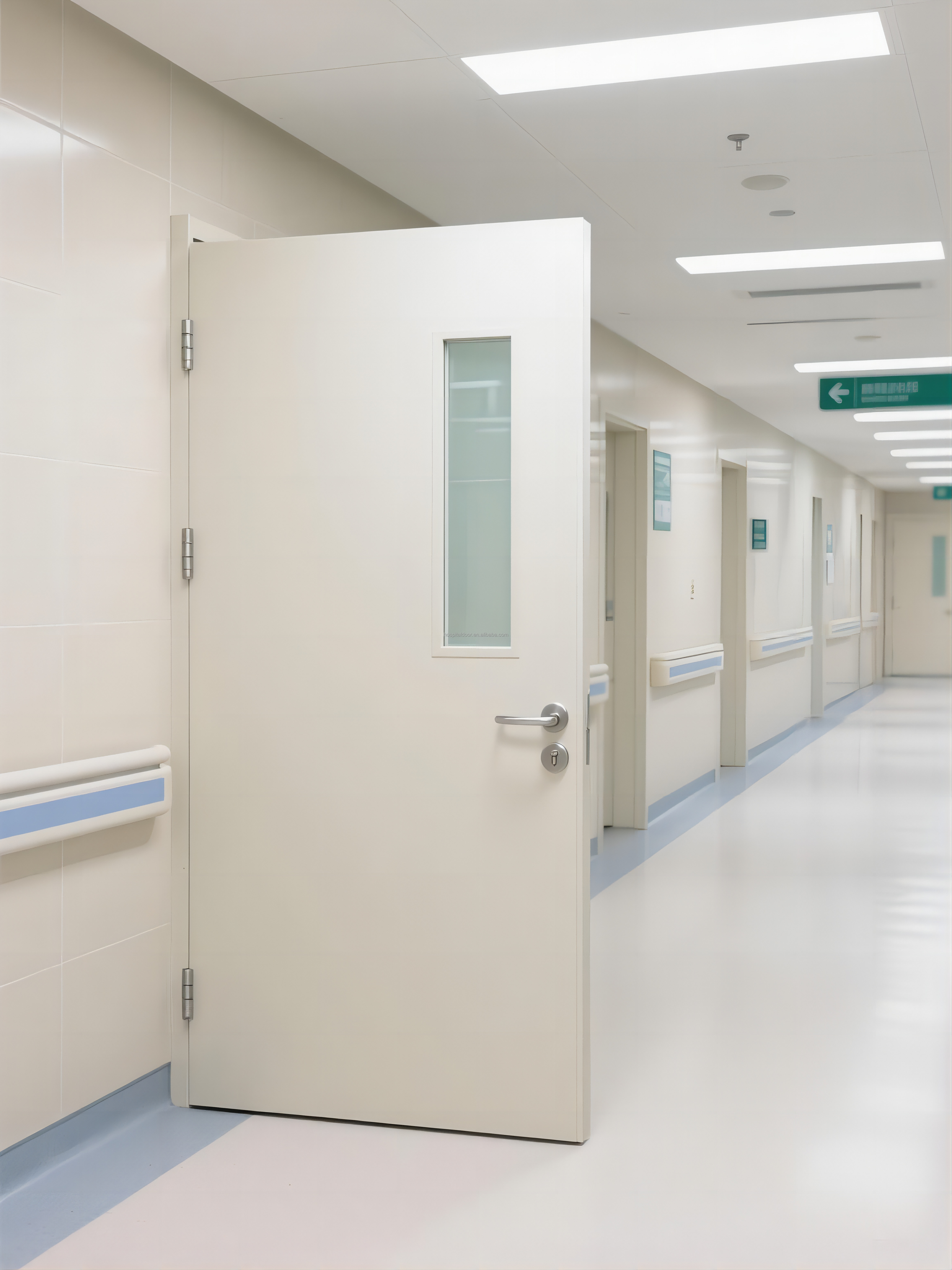 Steel Ward Door