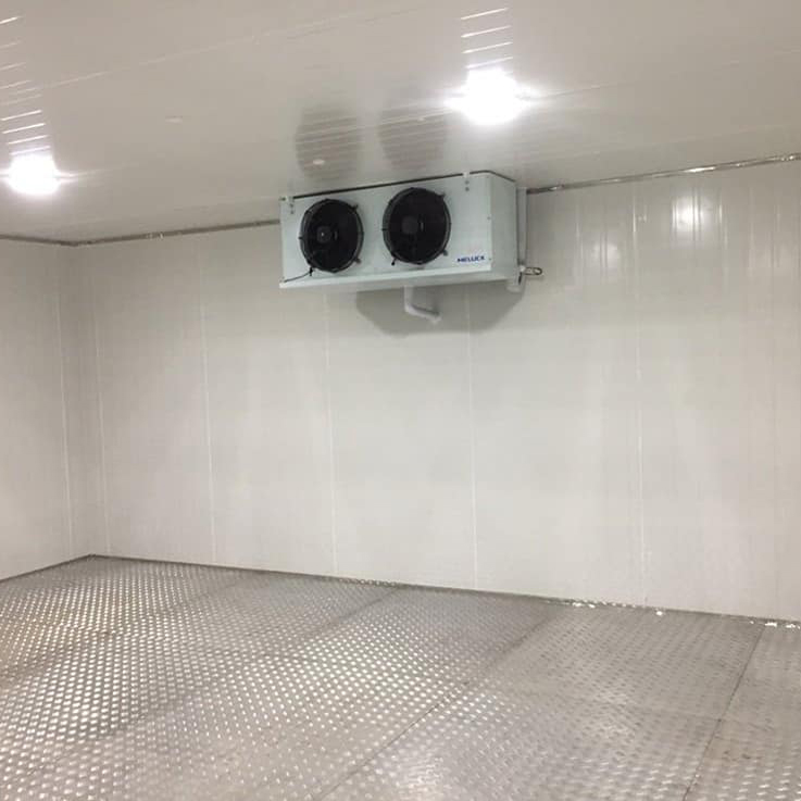 20ft Cold Room Container 220V Voltage Easy To Operate Compressor 150mm 120mm Panel Thickness Cold Storage Room