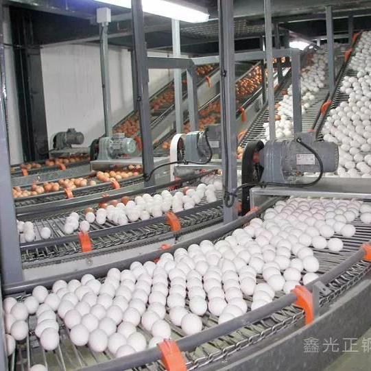 Double Storey Prefabricated Portable Modular Worker Camp Dormitory Poultry Farm Building