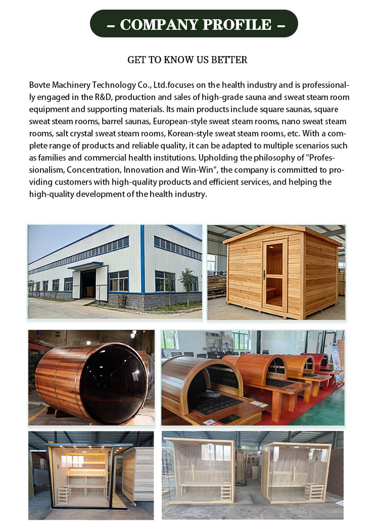 Sauna Heater Stove