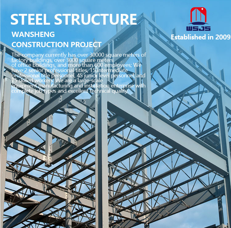 Steel structure building