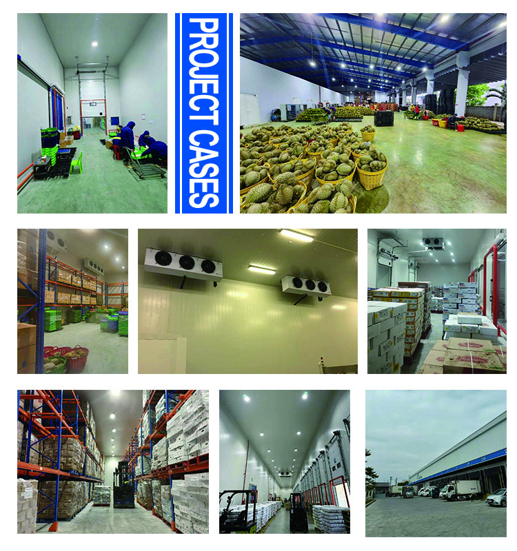 Interior Cold Room Storage