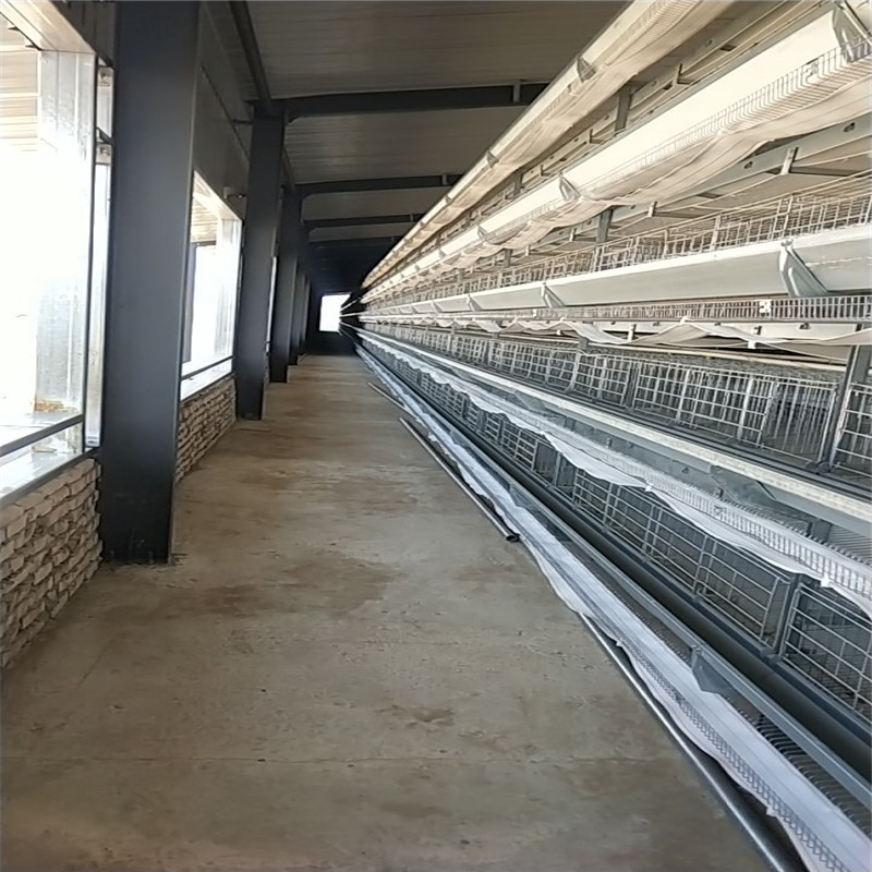 China's Prefabricated Steel Structure Chicken House Durable Poultry Farm Building