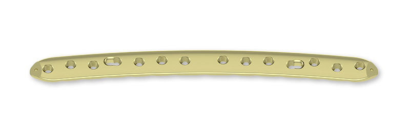 Orthopedic Locking Plate with Customized Options