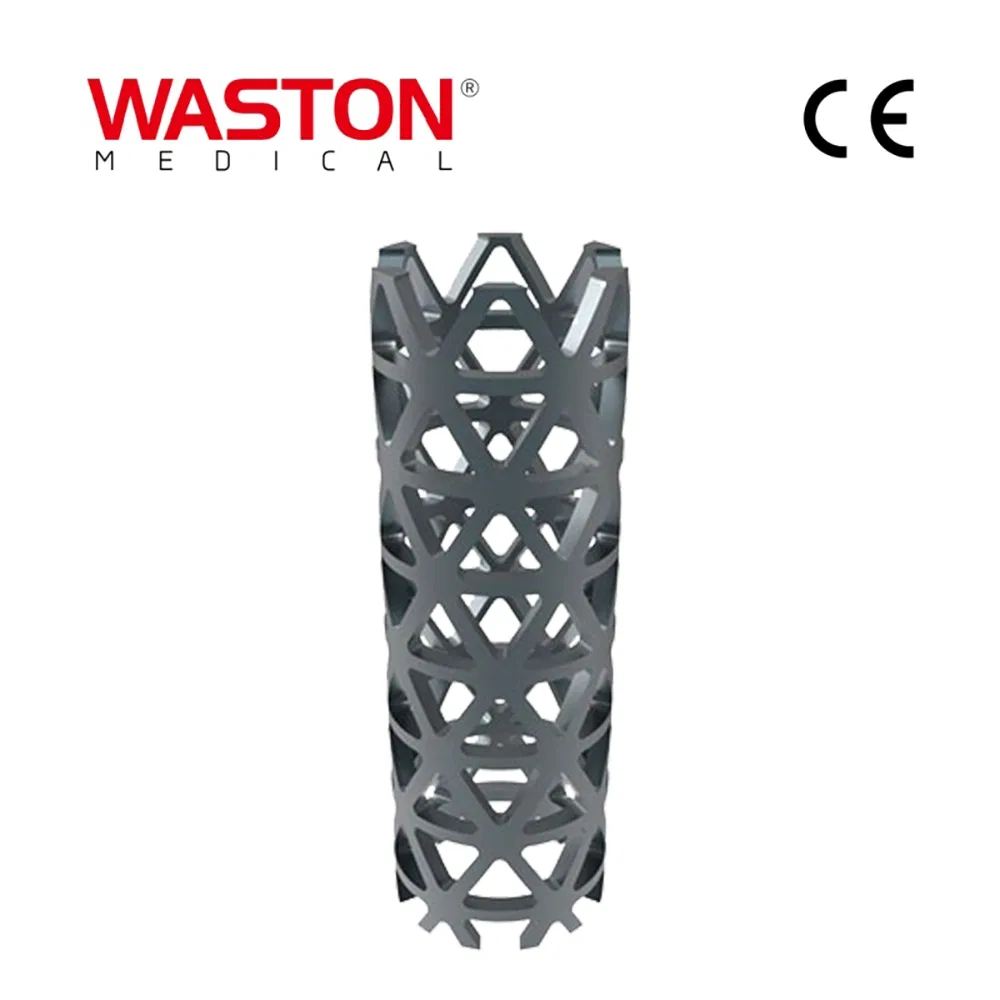 Disposable Surgical Neulen Laminoplasty Inter Pedicle Locking Screw Orthopaedic Instrument Implant Talen Thoracic Titanium Cage System