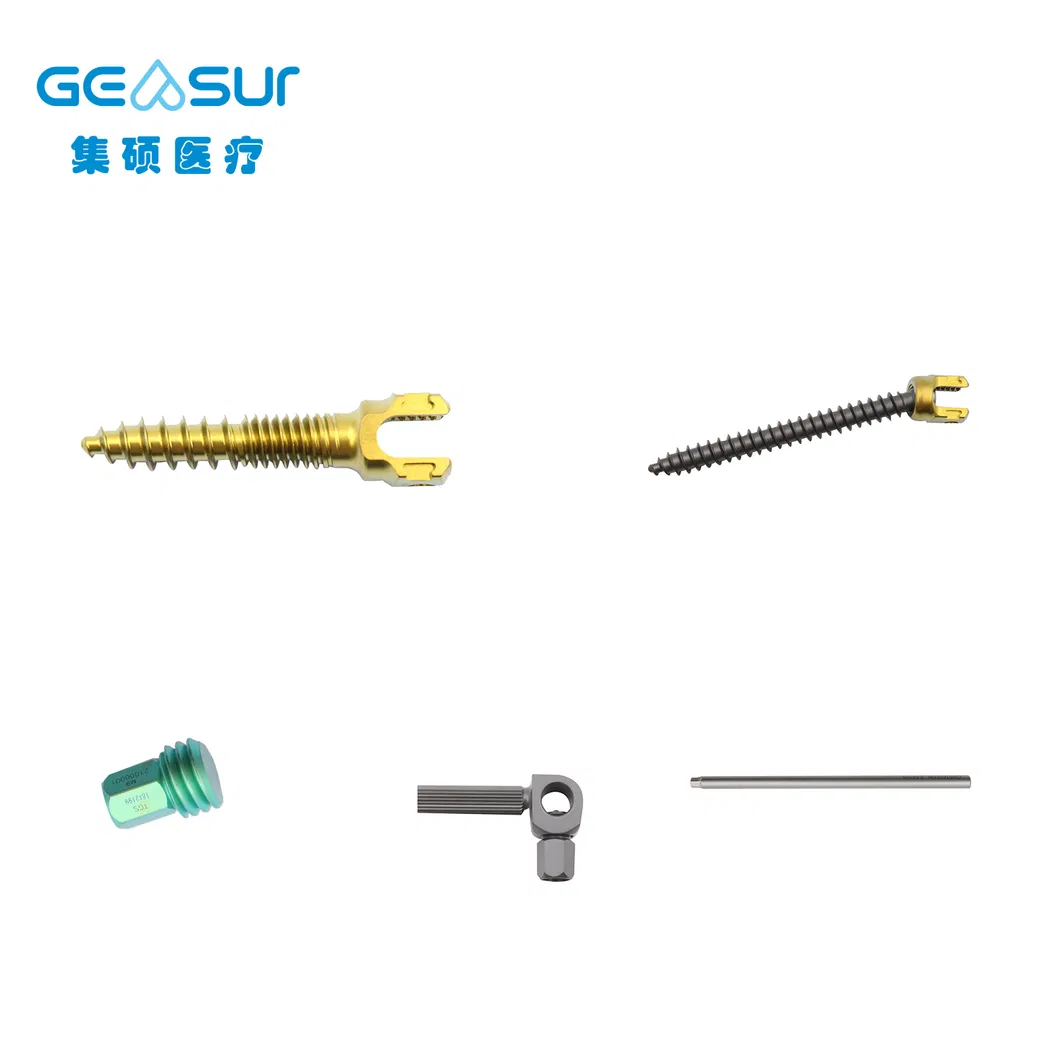 Posterior Spinal Fixation