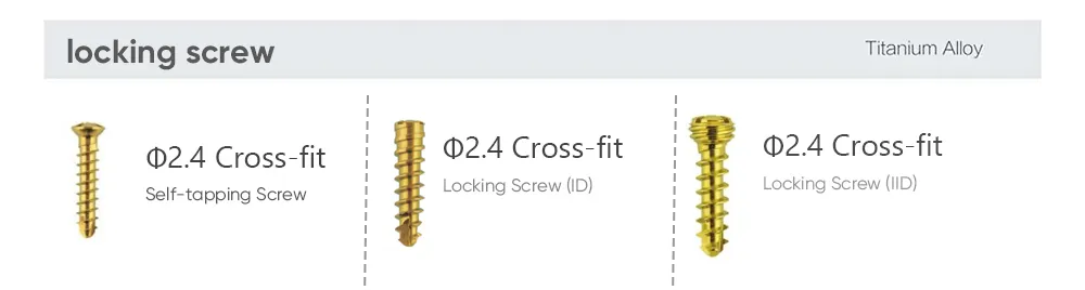 Product Feature Illustration