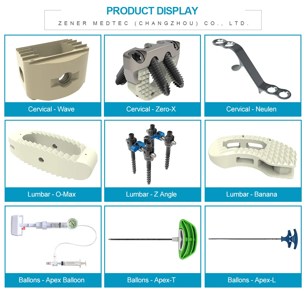 Product Display Showcase