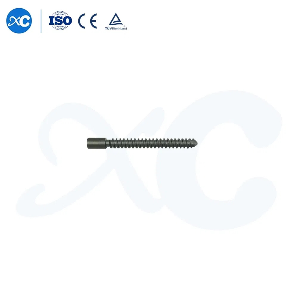 Hot Selling Factory Orthopedic Intramedullary Nails Titanium Intertan Interlocking Nail Surgical Implant