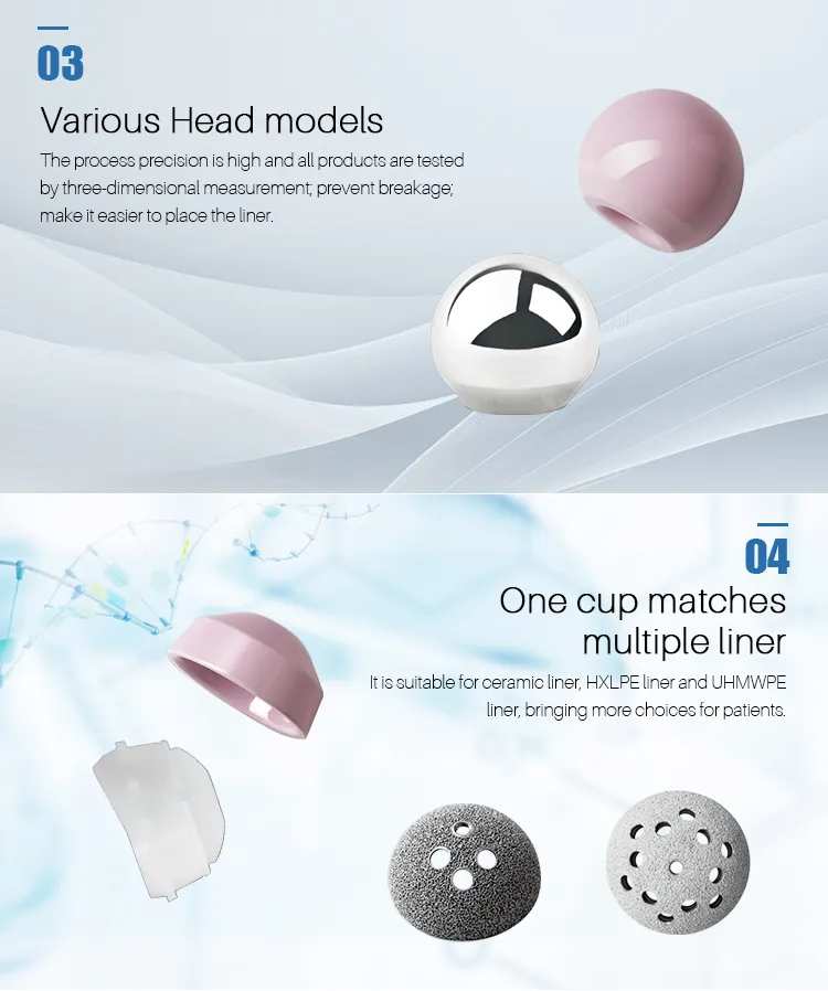 Head models