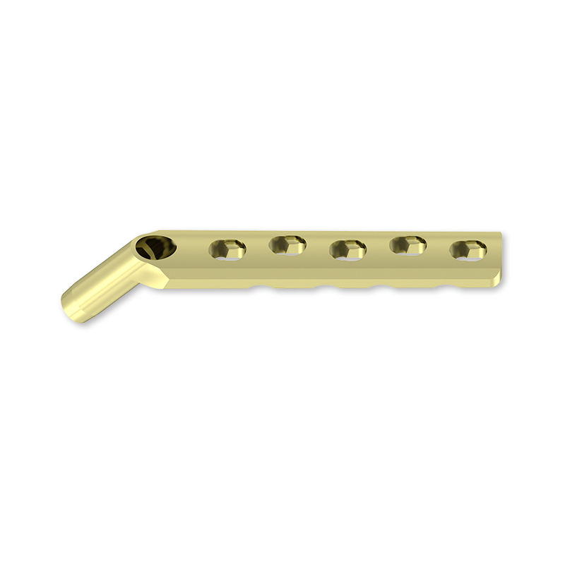 Orthopedic Locking Plate with Customized Options