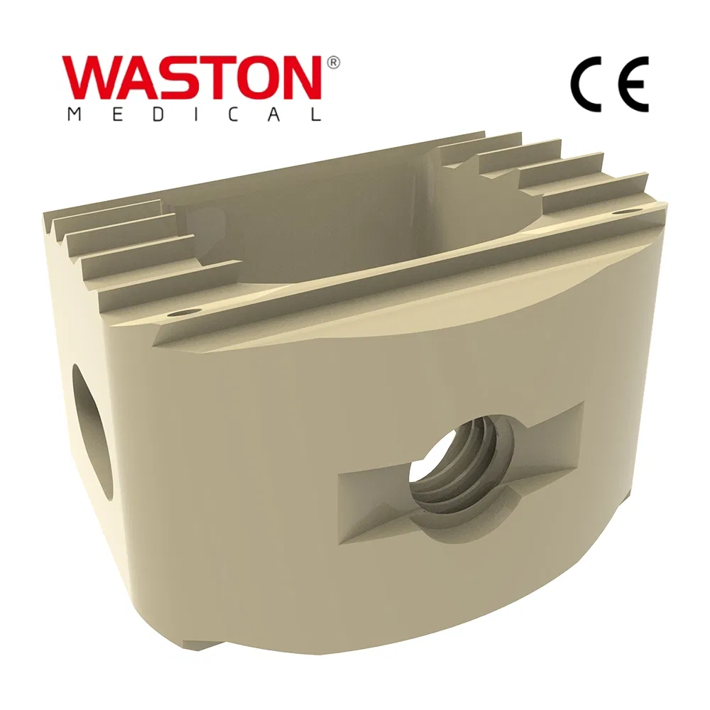 Interbody Fusion Cage System