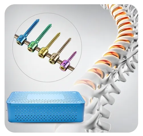 6.0mm Spinal Pedicle Screw Set