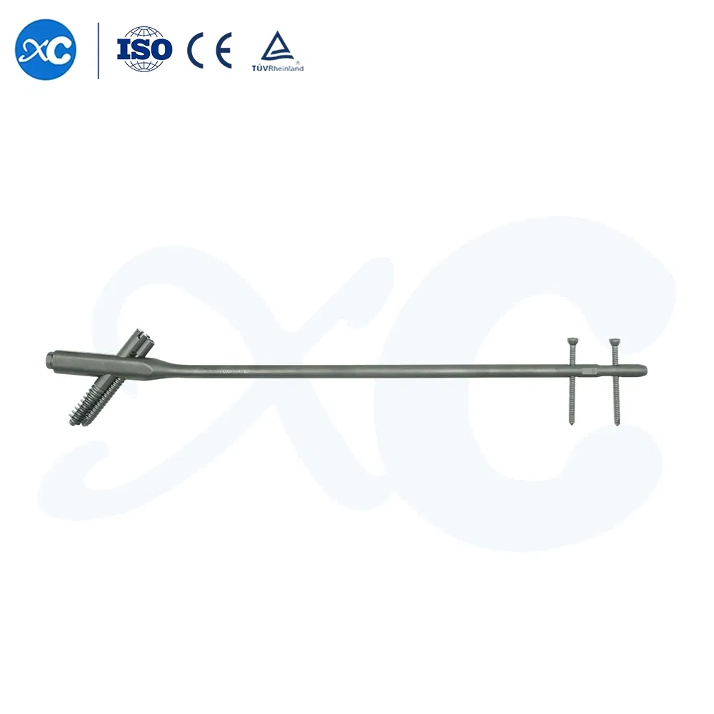 Hot Selling Factory Orthopedic Intramedullary Nails Titanium Intertan Interlocking Nail Surgical Implant