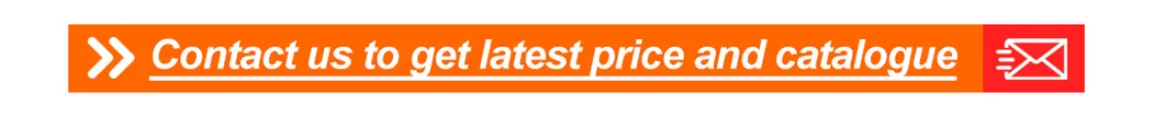 Women's Fitness Yoga Workout Women Outdoor Fitness Gym Wear Activewear