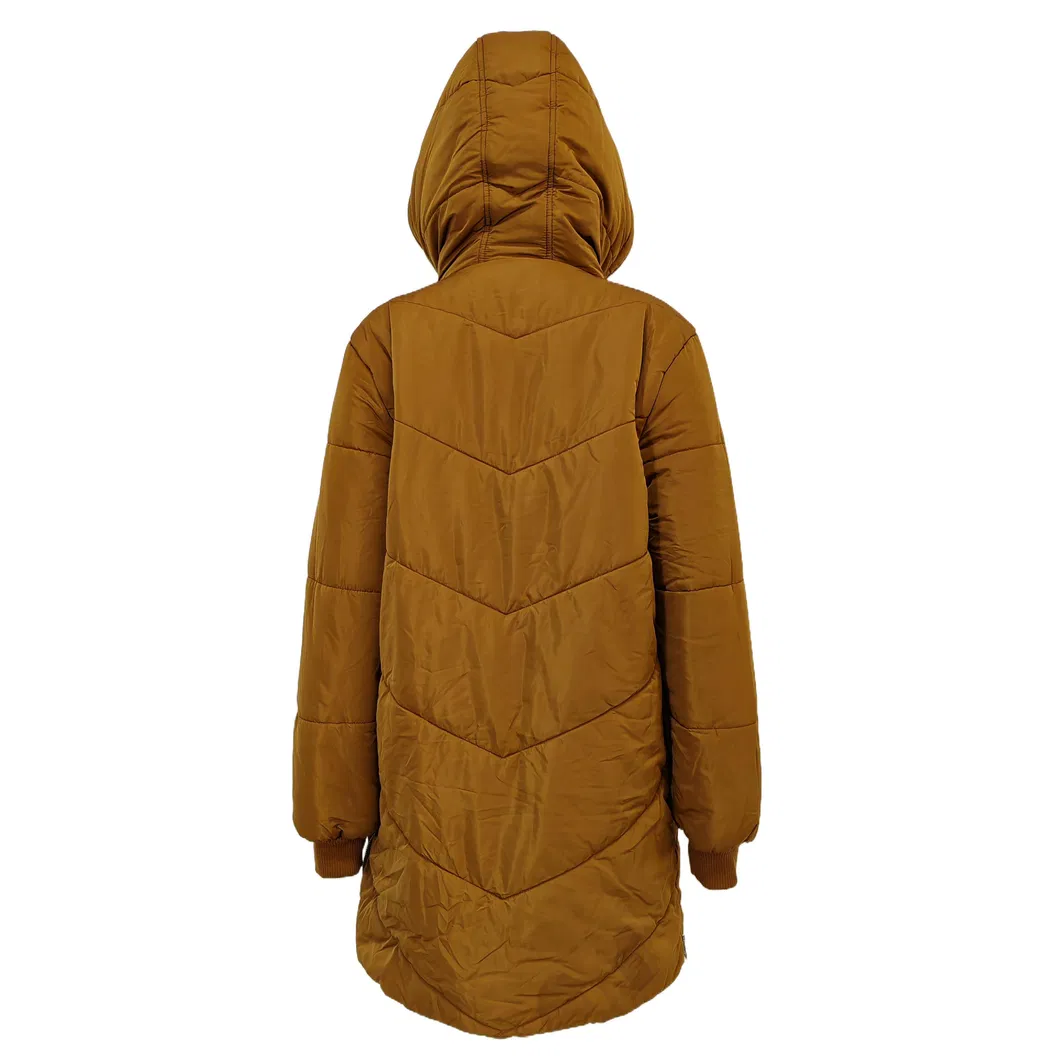 Winter New Style Hooded Straight Tube MID-Length Women's Outerwear Downwear for Women