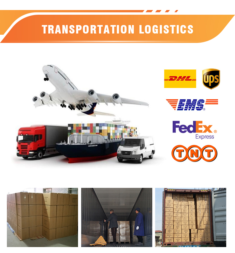 Transportation Logistics