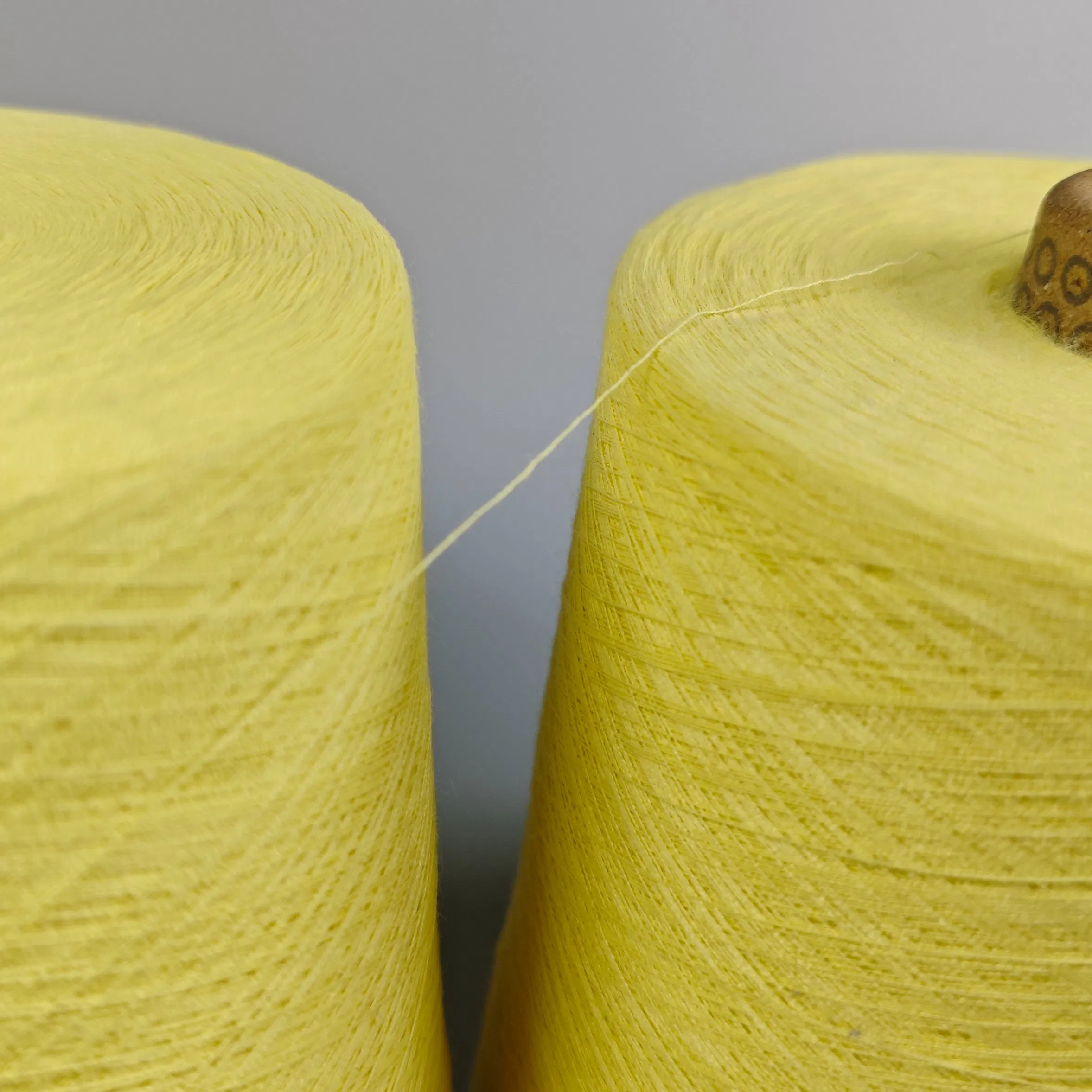 High Strength/Cut Resistant/Flame Retardant Kevlar Yarn Para-Aramid Spun Yarn for Motorcycle Clothing/Denim Reinforcement/Protective Apparel