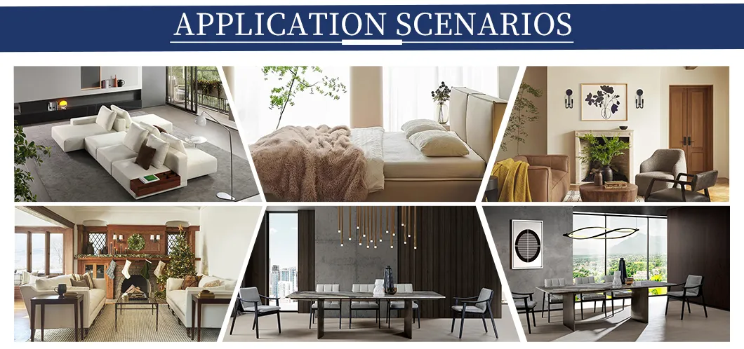 Application Scenario