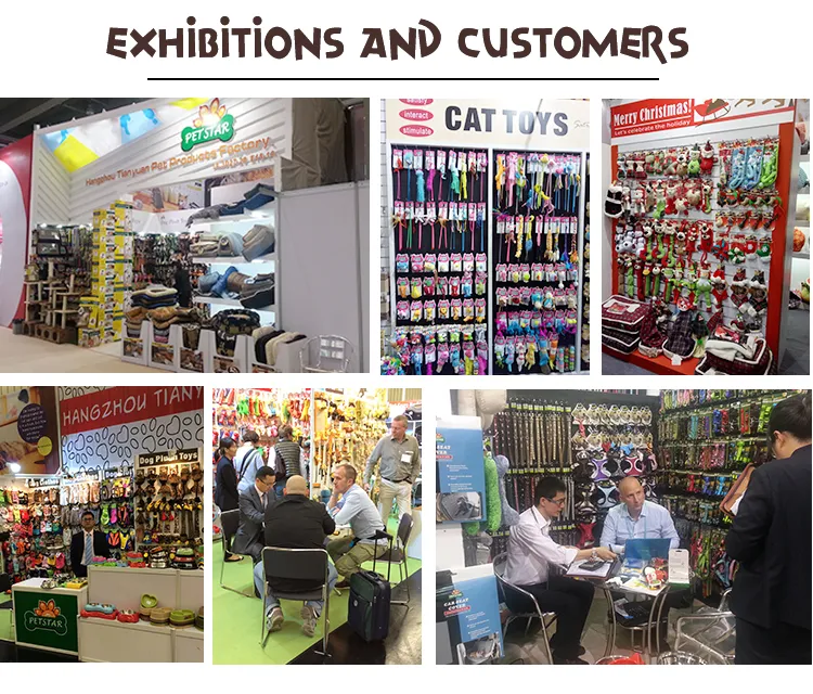 Exhibition Show