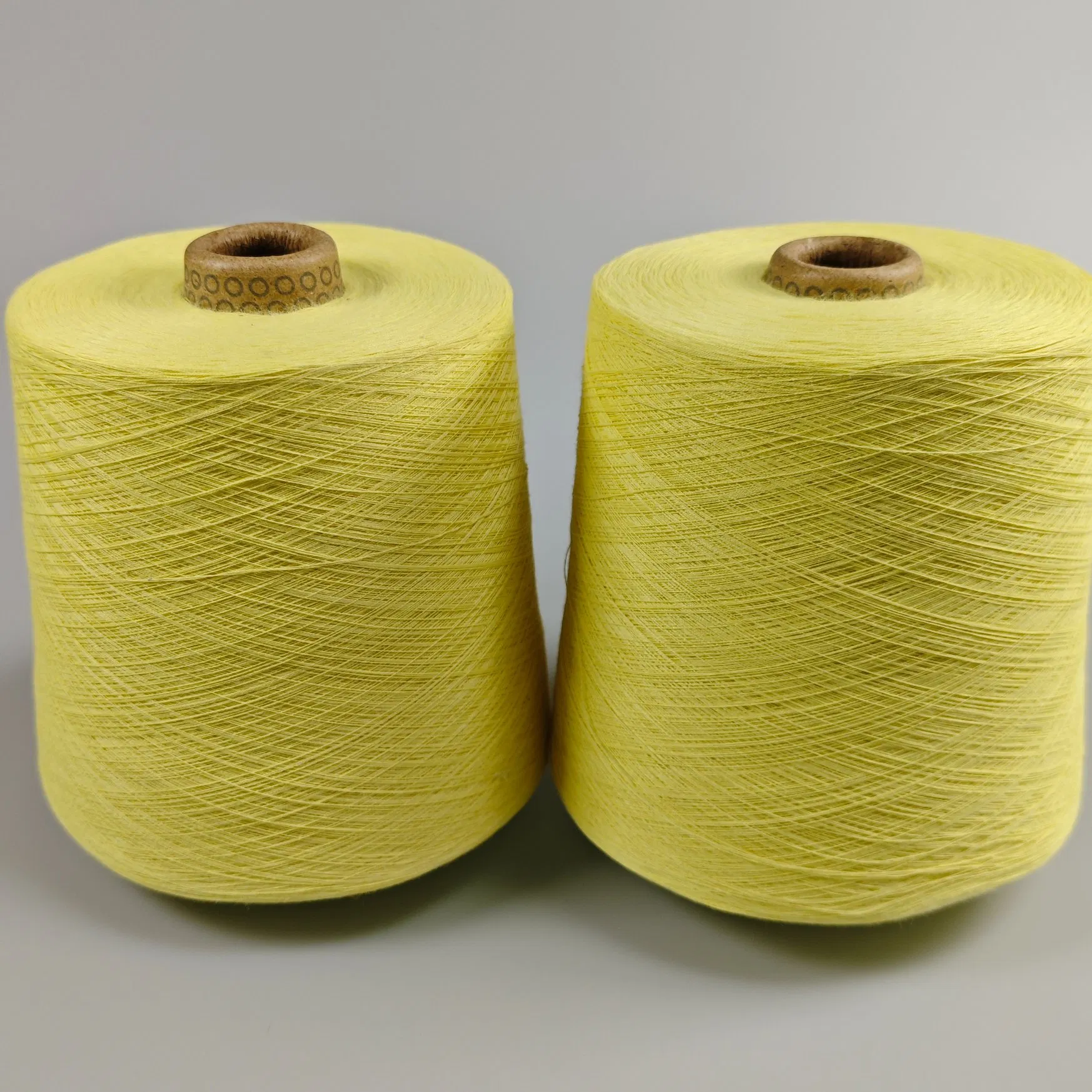High Strength/Cut Resistant/Flame Retardant Kevlar Yarn Para-Aramid Spun Yarn for Motorcycle Clothing/Denim Reinforcement/Protective Apparel
