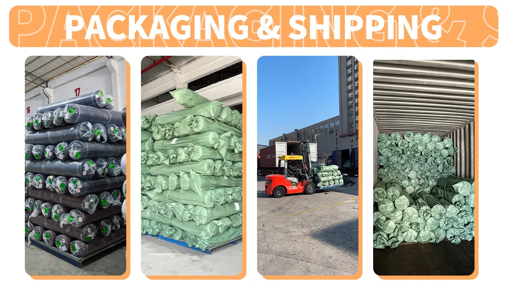 Secure Packing and Shipping Process
