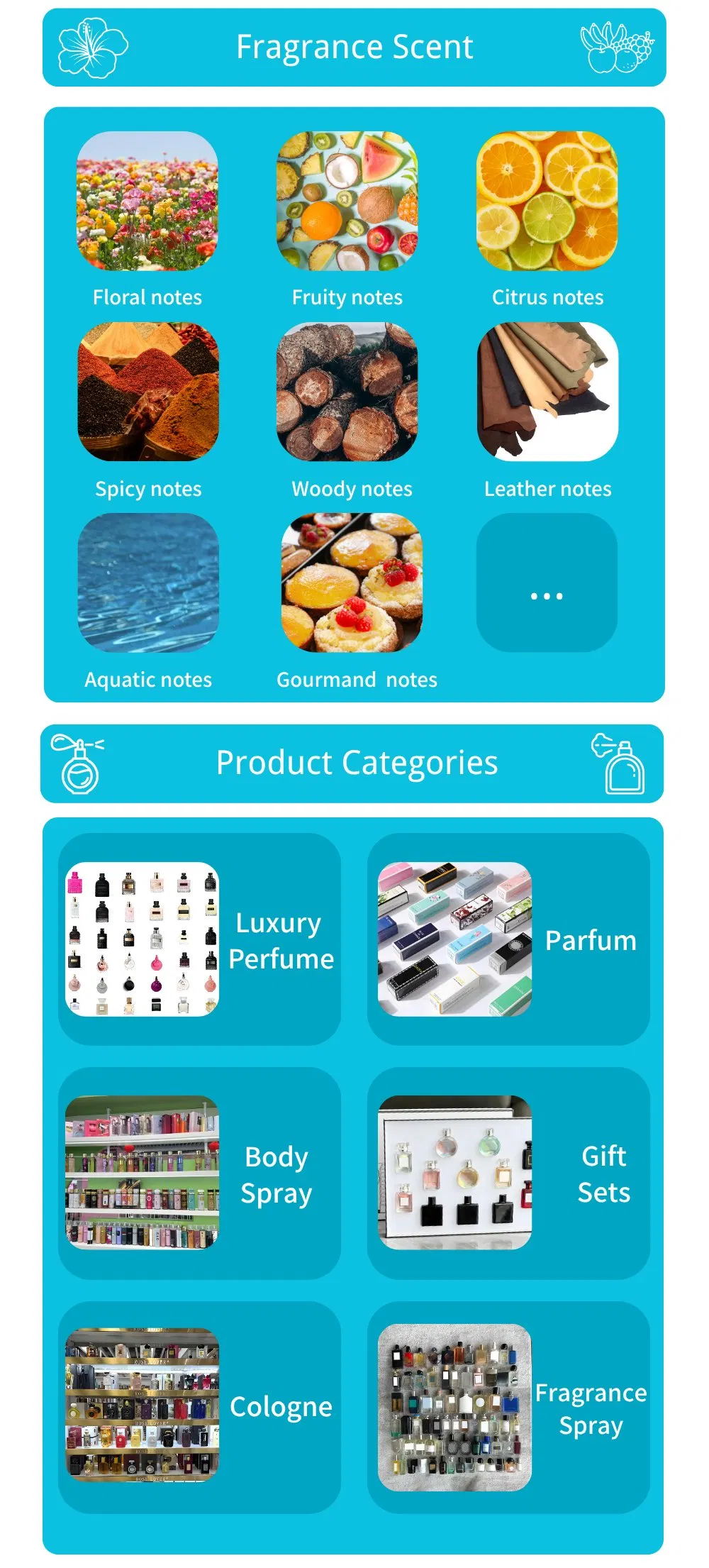 Product Showcase 3