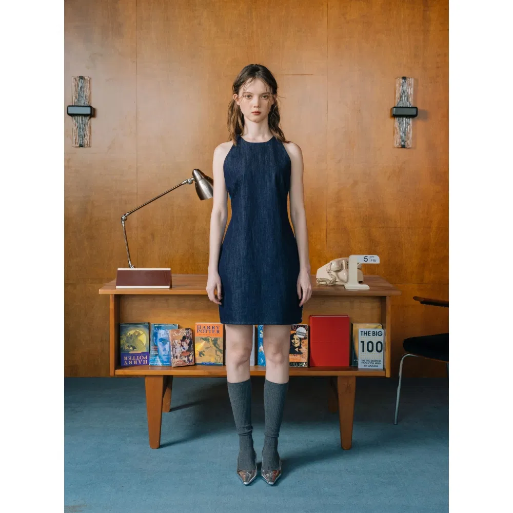 Denim Mini Dress Overview