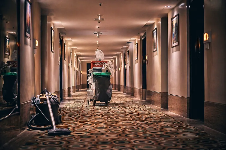 Carpet maintenance