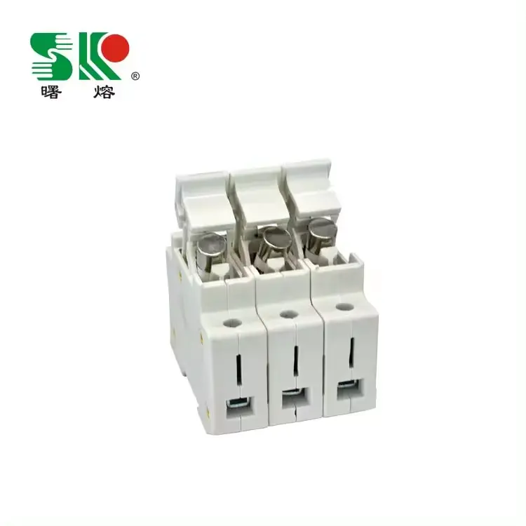 Low Voltage Fuse Product Display