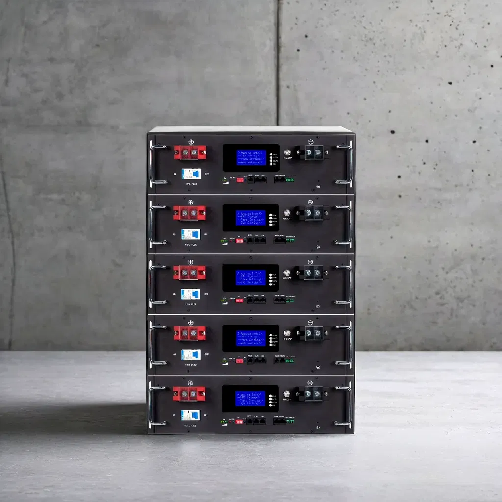 Paquete Personalizado Wenrey 48V 200ah LiFePO4 con Monitoreo para Granjas Solares, Herramientas Eléctricas y Estaciones de Carga de Baterías de Vehículos Eléctricos