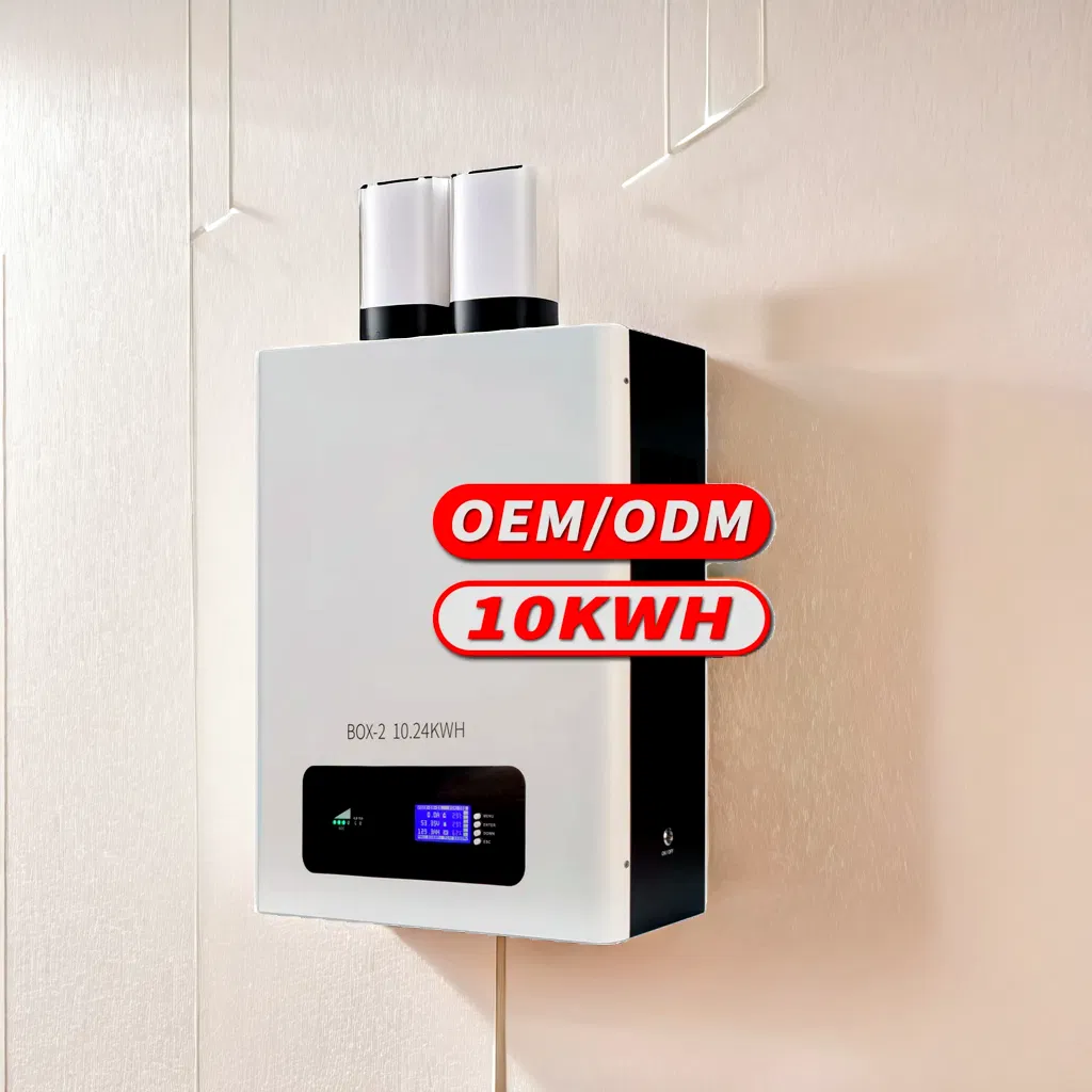 48V 100ah 200ah Batería de Fosfato de Litio Li-ion 5kwh 10kwh Sistema de Almacenamiento de Energía Solar Montado en la Pared para Respaldo de Paneles Solares Residenciales