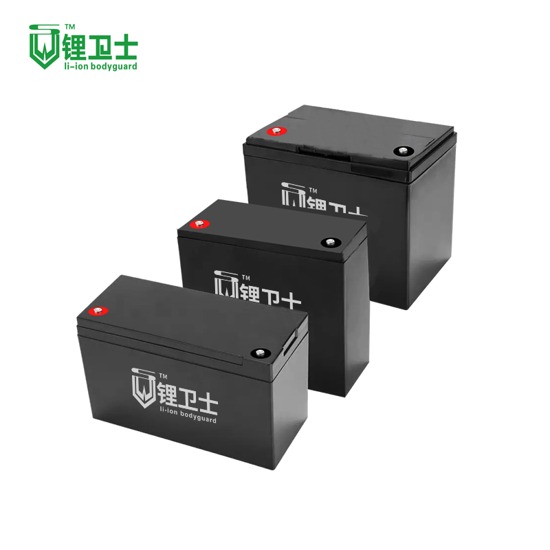 Batería de Iones de Litio 12V 24V 36V 48V 6ah LiFePO4 Paquete de Batería