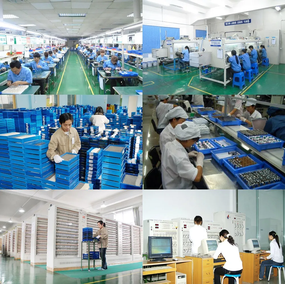 Proceso de Calidad y Producción