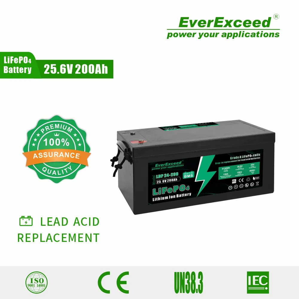 Baterías de iones de litio recargables de carga rápida 24V 200ah LiFePO4 para módulos marinos