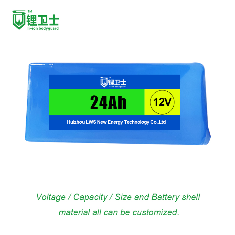 Batería de Iones de Litio 12V 24V 36V 48V 6ah LiFePO4 Paquete de Batería