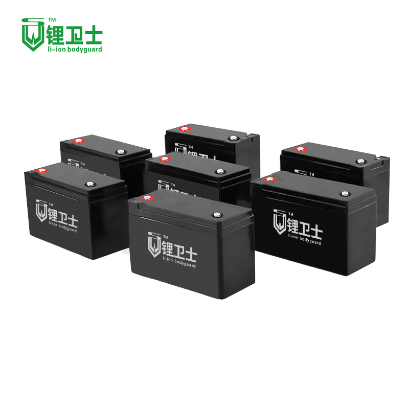 Batería de Iones de Litio 12V 24V 36V 48V 6ah LiFePO4 Paquete de Batería