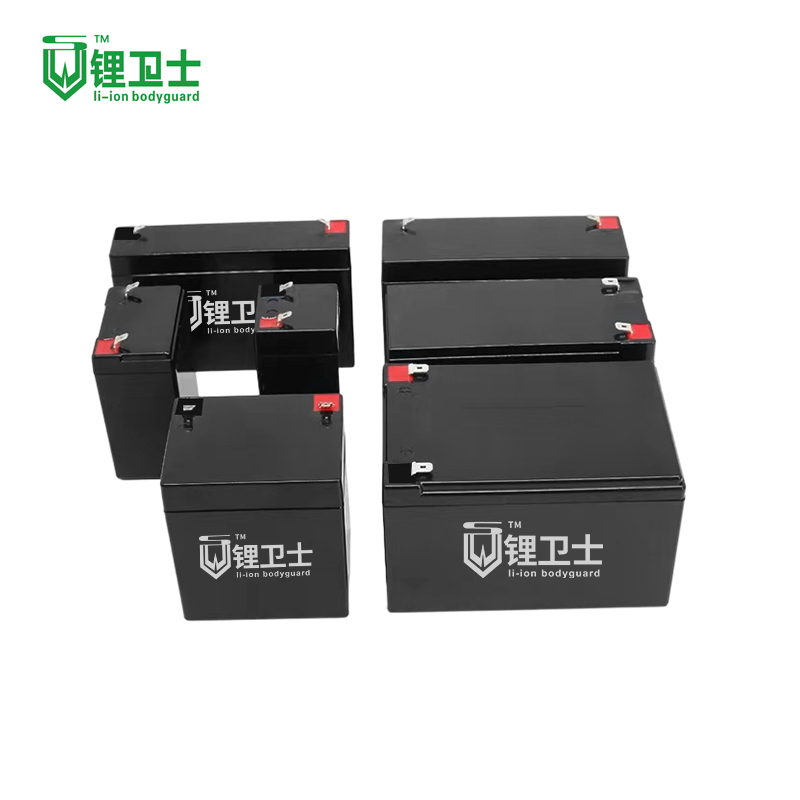 Batería de Iones de Litio 12V 24V 36V 48V 6ah LiFePO4 Paquete de Batería