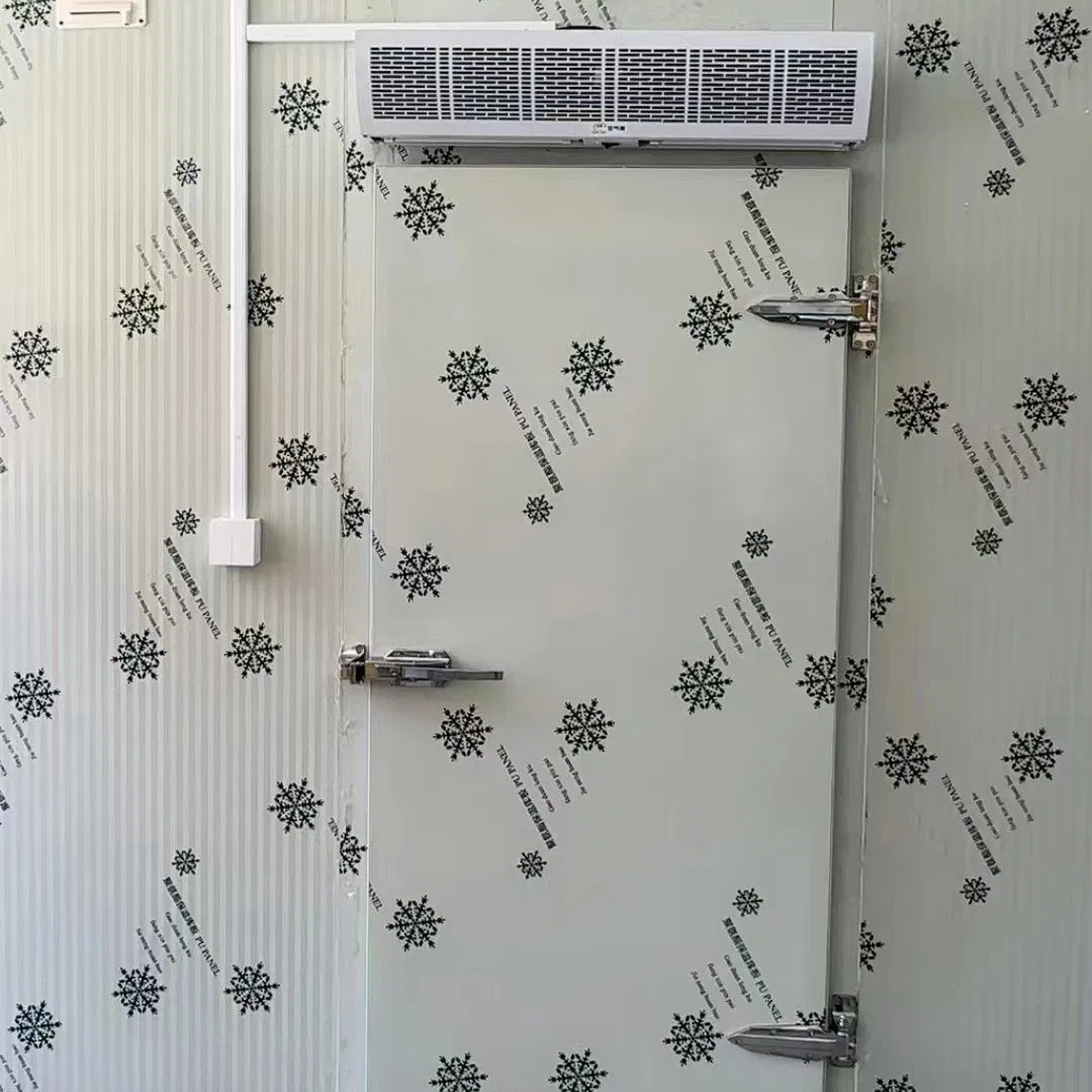 Sala Fría Industrial para Control Óptimo de Temperatura y Almacenamiento Sala de Almacenamiento en Frío